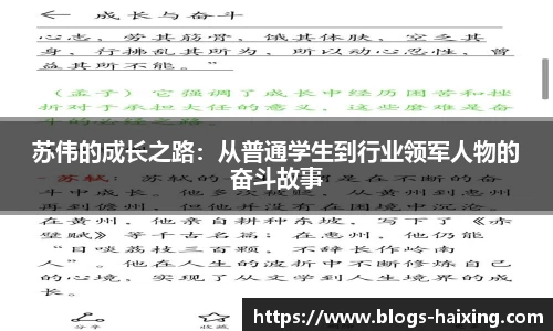 苏伟的成长之路：从普通学生到行业领军人物的奋斗故事