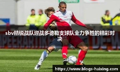 海星体育直播